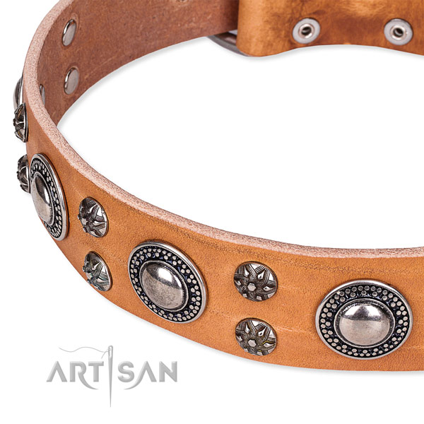 Everyday use full grain leather collar with strong buckle and D-ring