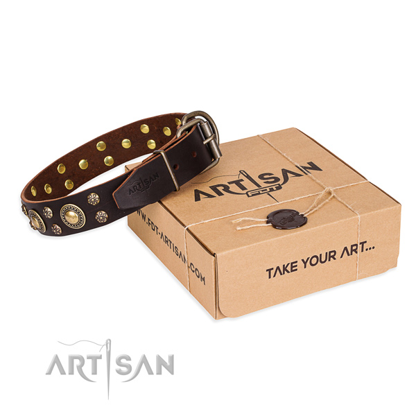 Awesome full grain genuine leather dog collar for walking in style