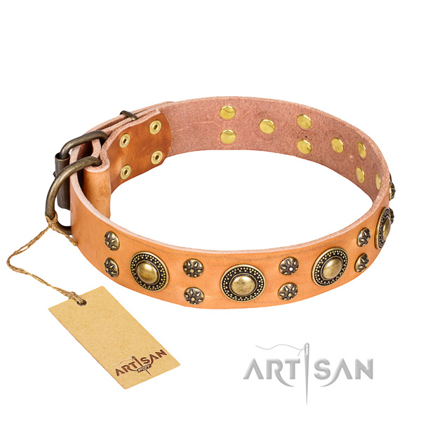 Unique genuine leather dog collar for daily walking