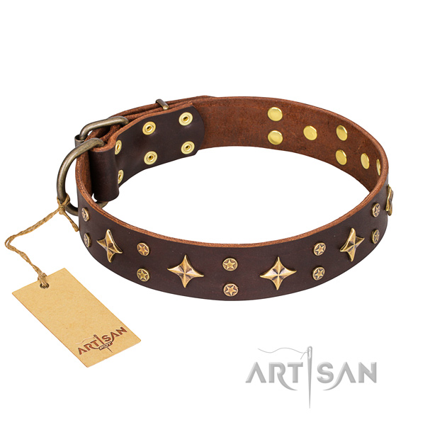 Amazing full grain natural leather dog collar for everyday walking