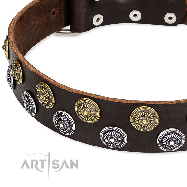 Genuine leather dog collar with trendy embellishments