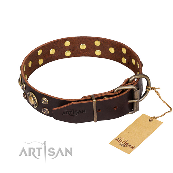 Walking full grain genuine leather collar with adornments for your canine