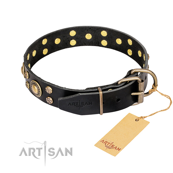 Everyday use full grain leather collar with embellishments for your canine