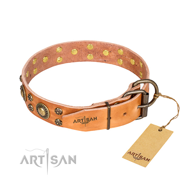 Everyday use full grain genuine leather collar with studs for your dog