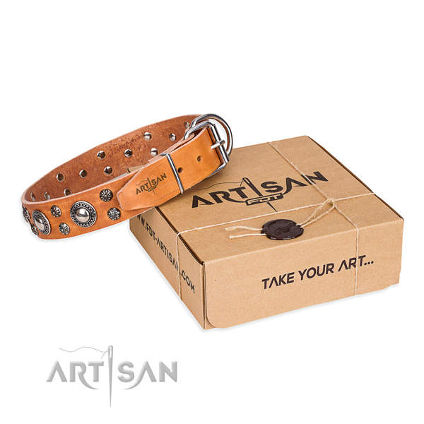 Top quality genuine leather dog collar for everyday use