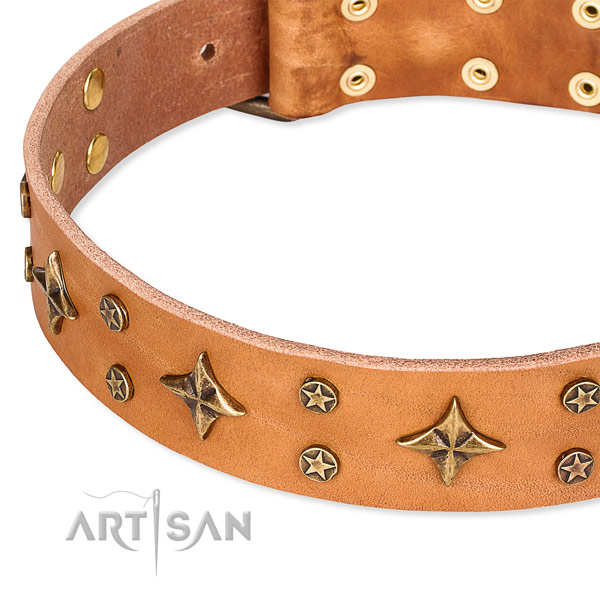 Full grain genuine leather dog collar with inimitable adornments