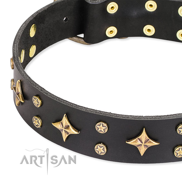 Full grain leather dog collar with significant decorations