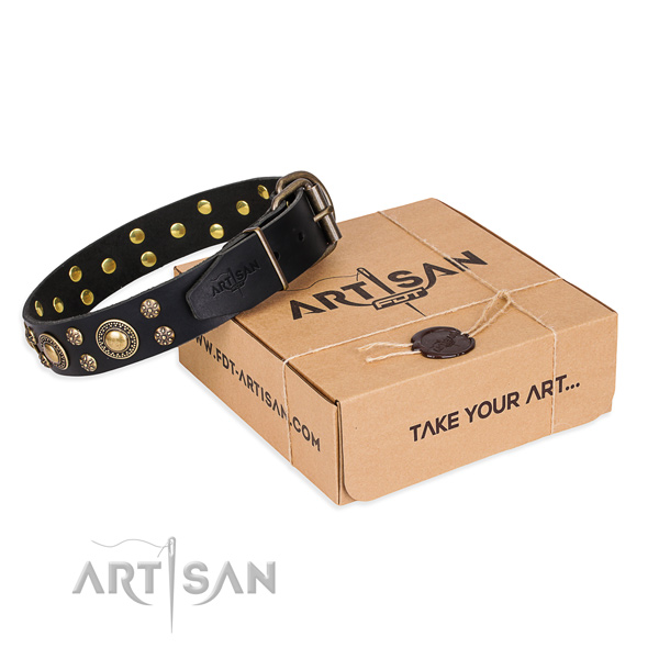 Finest quality natural genuine leather dog collar for stylish walking