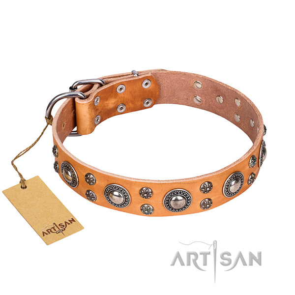 Fashionable leather dog collar for daily walking