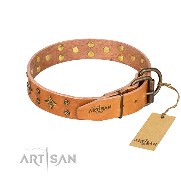 Daily walking full grain leather collar with studs for your doggie