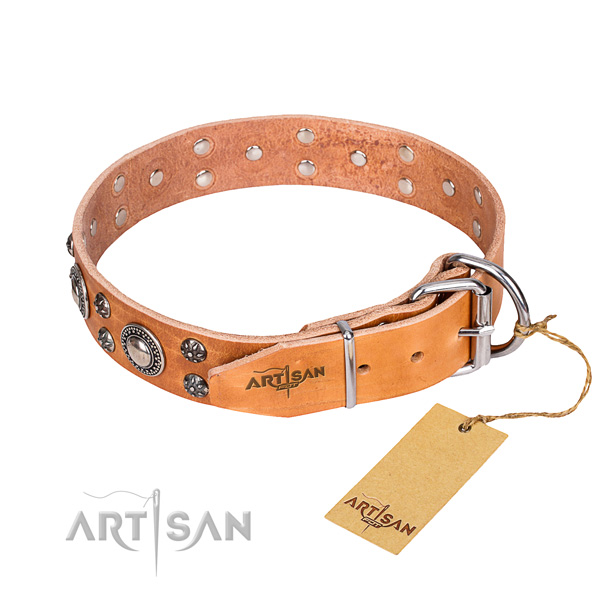 Daily use full grain leather collar with decorations for your dog
