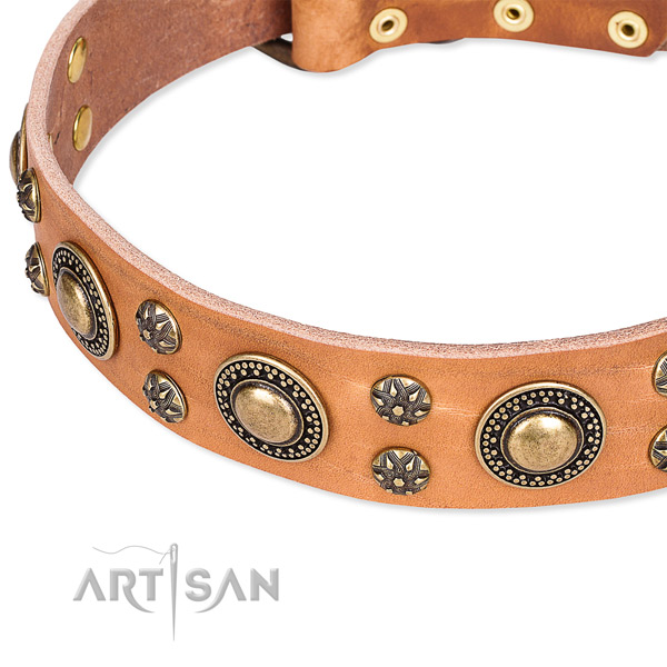 Leather dog collar with unique embellishments