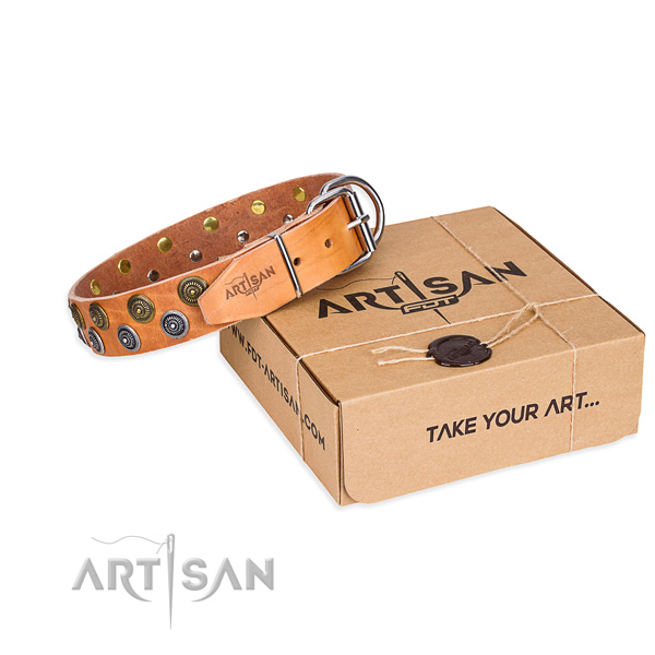 Full grain genuine leather dog collar with decorations for stylish walking