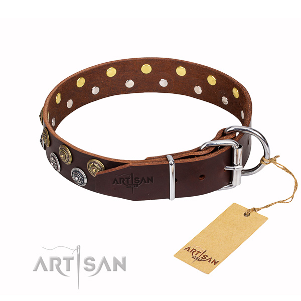 Amazing full grain leather dog collar for walking