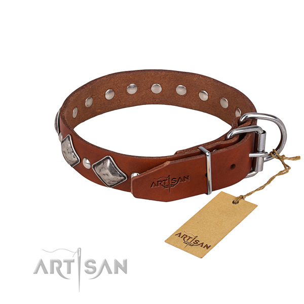 Dependable leather dog collar with reliable details