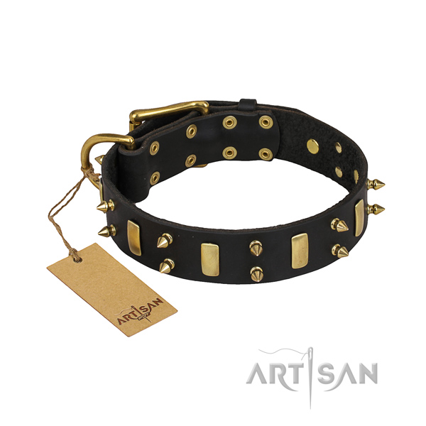 Heavy-duty leather dog collar with sturdy fittings