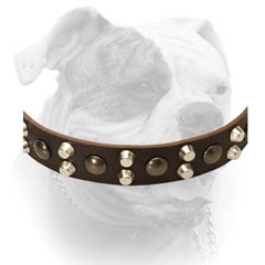 Buckled Leather Muzzle With D-ring.