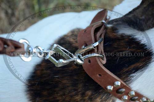 WAlking Decorative Leather Collar For merican Bulldog