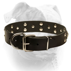 Decorated leather American Bulldog collar