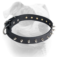 Reliable nickel plated hardware for leather American Bulldog collar