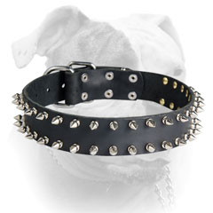 Elegant leather American Bulldog collar with 2 rows of spikes