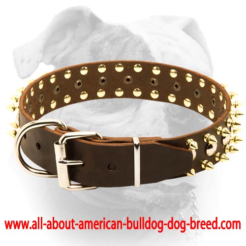 Black Leather Dog Collar and Leash Set with Studs - BULLET