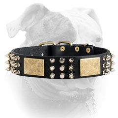 Leather American Bulldog collar decorated with pyramids, spikes and plates