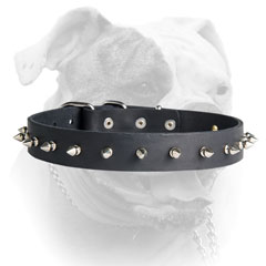 Elegant leather American Bulldog collar with 1 row of symmetrical spikes