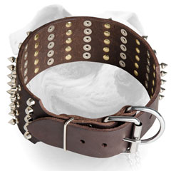 Extra wide collar for easy controlling your American Bulldog