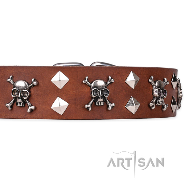 Casual style leather dog collar with refined adornments