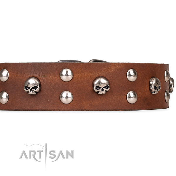 Full grain leather dog collar with polished leather strap