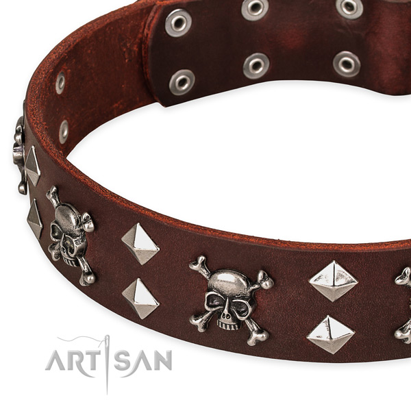 Top notch leather dog collar for training