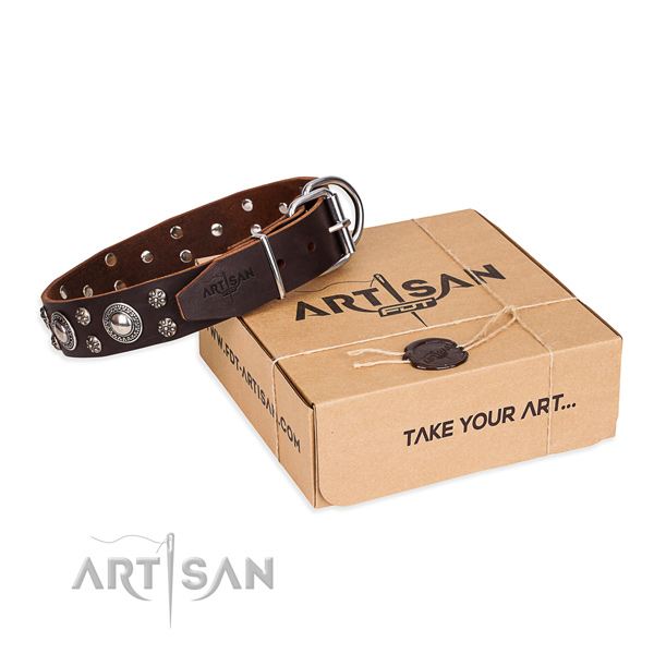 Casual leather dog collar with unique design embellishments
