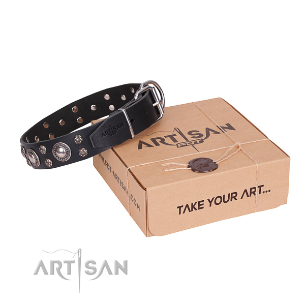 Everyday leather dog collar with remarkable embellishments
