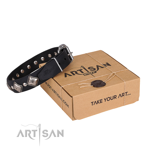 Casual style leather dog collar with astounding decorations