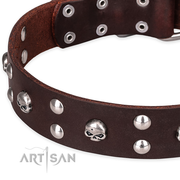 Daily leather dog collar with astounding decorations