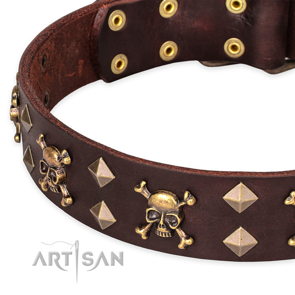 Daily leather dog collar with incredible studs
