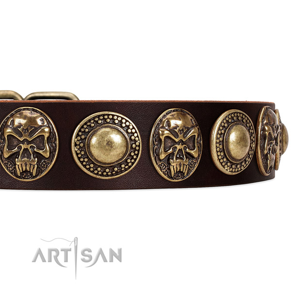 Leather dog collar with adornments for daily walking