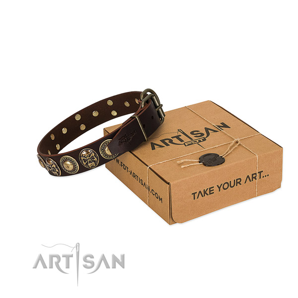 Adorned leather dog collar for everyday walking