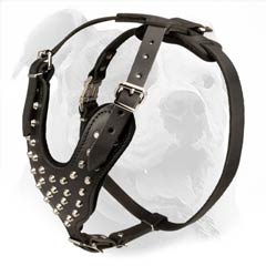 Adjustable leather American Bulldog harness