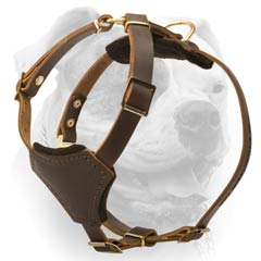 Walking Brown Leather Harness For Labrador
