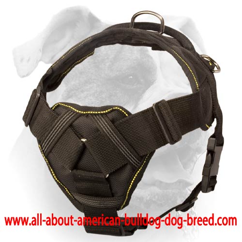 Best harness for american cheap bulldog