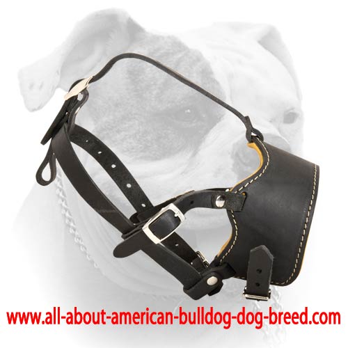 Non barking muzzle best sale