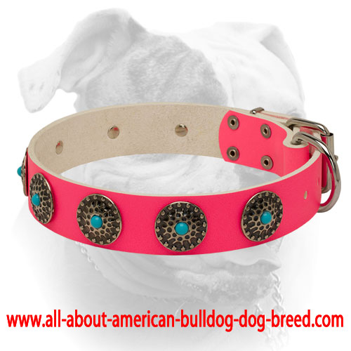 Personalized Dark Blue Leather Dog Collar Designer Dog 