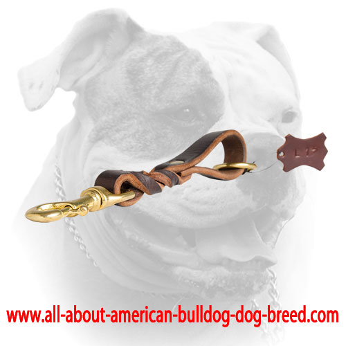 Pull tab hot sale dog leash