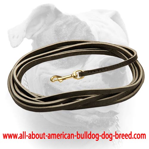 American Bulldog Extra Long Black Leather Dog Leash