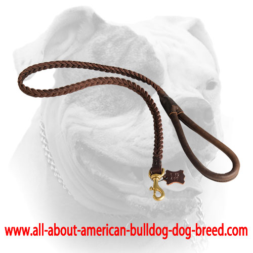 Braided leather American Bulldog leash 
