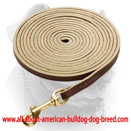 American Bulldog Brown Latigo Leather Dog Leash