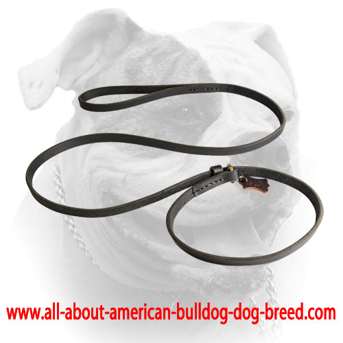 American Bulldog leash/collar combo with leather stopper