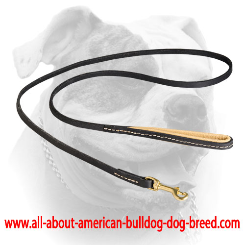 Elegant leather American Bulldog leash with stitched padded handle